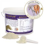 Equipur Amino / Еквипур - Амино