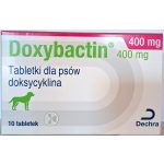 Doxybactin 400 mg Tabletten / Доксибактин 400 мг таблетки за кучета