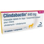 Clindabactin 440 mg / Клиндабактин 440 мг - 10 таблетки