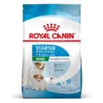 Royal Canin Starter Mother & Babydog - MINI  /  Пълноценна храна за кучета - за майки от дребни породи и техните кученца - 8 кг.